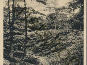 Holten - Holterberg [002-1184