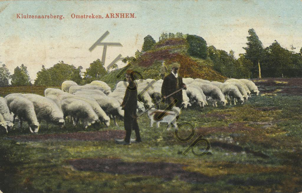 KRST002-1239_0.jpg Arnhem - Kleizenaarsberg - schaapskudde [002-1239