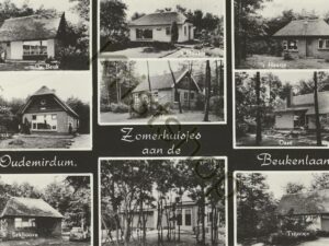 Oudemirdum - Beukenlaan [002-1261