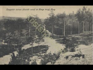 Norg - Langeloër duinen [002-1358