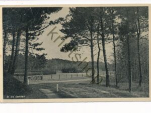 ??? Texel - In de Dennen ??? [002-1503