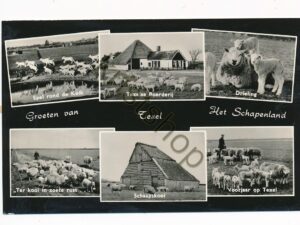 Texel - Schapenland [002-1538