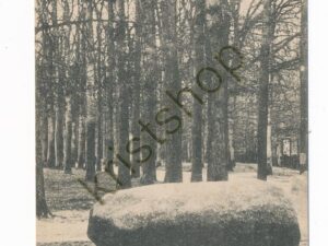 Lage Vuursche - Offersteen [002-1570
