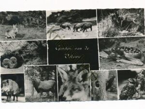 Veluwe - meerluik [002-1638
