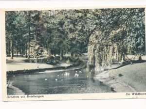 Driebergen - De Wildbaan [002-1747