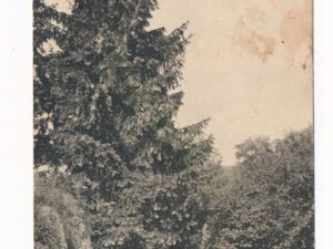 unknown - unbekannt - zoekplaatje [002-1790