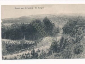 Duinen aan de Landzij - Bergen [002-1849