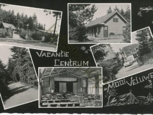 Mooi Veluwe [002-1942