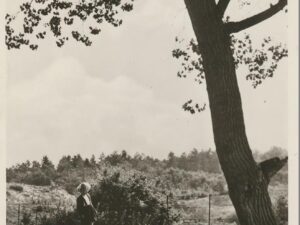 Herftswandeling ANWB October 1950 [002-2002