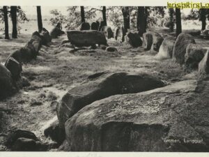 Emmen - Langgraf (hunnebedstenen) [002-2102