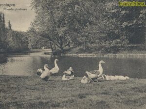 Groningen - Noorderplantsoen [002-2124
