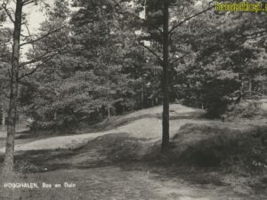Hooghalen - Bos en Duin [002-2164