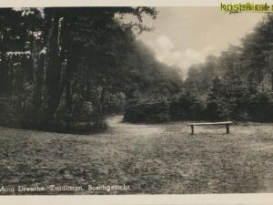 Zuidlaren - Boschgezicht [002-2177