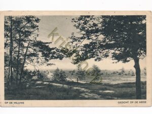 De Veluwe - Gezicht op de Heide [002-2206