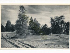 Lutterzand - Natuurschoon [002-2271
