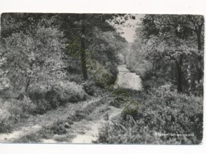 Rijssen - Schwarzwald [002-2276