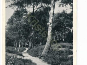 Maarn [002-2309