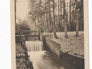 t Leuvenumsche Bosch - Waterval [002-2374