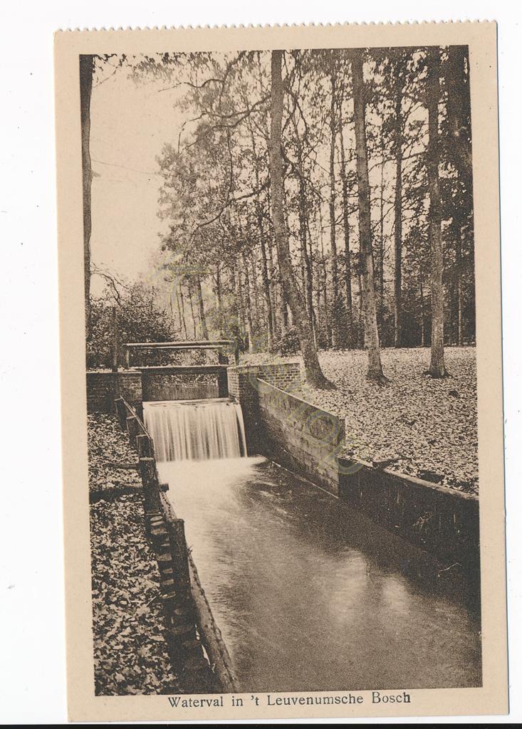 KRST002-2374_0.jpg t Leuvenumsche Bosch - Waterval [002-2374
