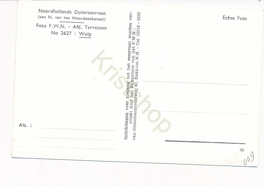 KRST002-2509_1.jpg Noordhollands Duinreservaat - Fot PWN afd Terreinen - Wulp [002-2509 - Afbeelding 2