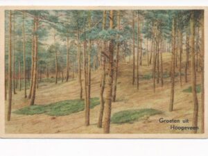 Hoogeveen - Heuvelrand in het Bos [002-2543