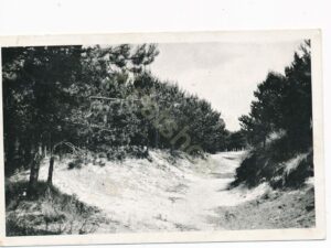 Hulshorst - Vakantieoord - De Dageraad [002-2544