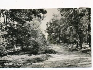 Borger - In de uitgestrekte Staatsbossen [002-2548