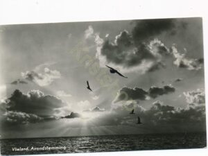 Vlieland - Avondstemming [002-2560