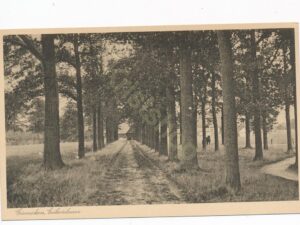 Ginneken - Eikenlaan [002-2564