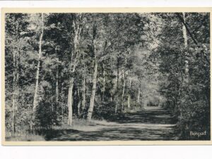 Ermelo - Bospad [002-2653