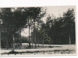 Ermelo - Nassaulaan [002-2684