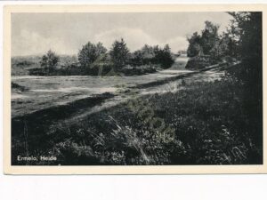 Ermelo - Heide [002-2685