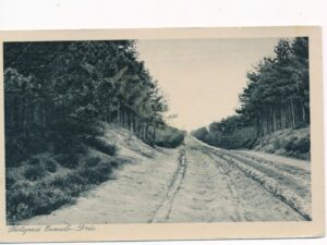 Ermelo-Drie - Fietspad [002-2690