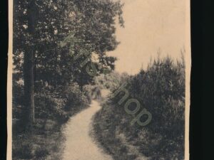 Ermelo - Fraai Boschpad [002-2705