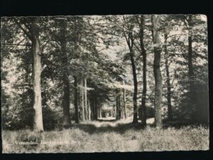 Veenendaal - Laantje op de Berg [002-2846