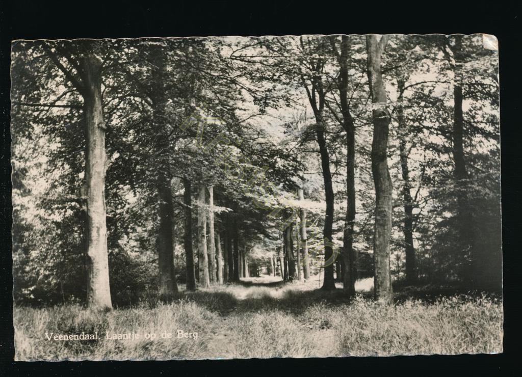 KRST002-2846_0.jpg Veenendaal - Laantje op de Berg [002-2846