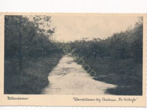Hellendoorn - Wandellaan bij Theehuis De Uitkijk [002-2916