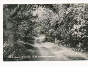 Hellendoorn - Bospaadje op de Hellendoornseberg [002-2917