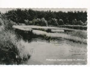 Hellendoorn - Gagelmansveentje bij Duivecate [002-2920