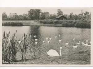 Haren - Burgermeester Boerempark [002-2958
