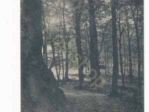 Montferland - Oprit [002-2966