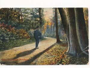 Scheveningsche Boschjes [002-3054