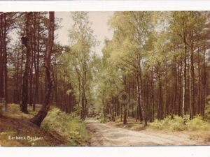 Eerbeek - Boslaan [002-3099