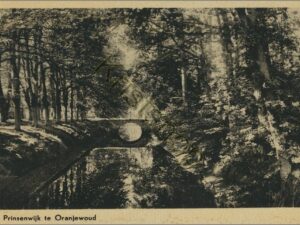 Oranjewoud - De Prinsenwijk [002-3277