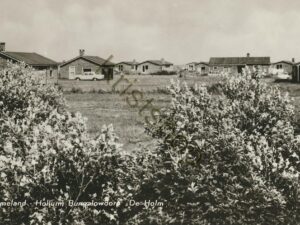 Ameland - Hollum - De Holm-Bungalowdorp [002-3322