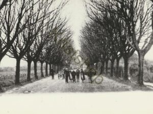 Harderwijk - Stationsweg [002-3376