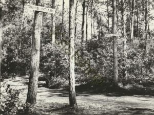 Chaam - De Flaasbloem [002-3442