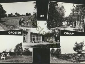 Chaam - De Flaesbloem [002-3452
