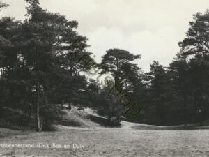 Drouwenerzand - Bos en Duin [002-3454