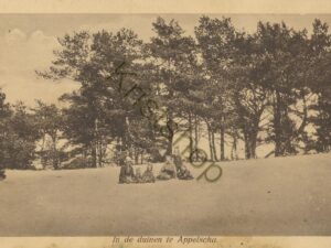 Appelscha - In de duinen [002-3459